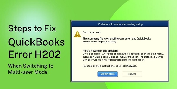 How to fix QuickBooks Error H202