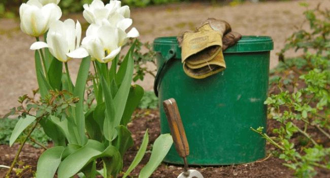 Deep Underground: Tips For Getting Your Garden Ready For Spring in PA