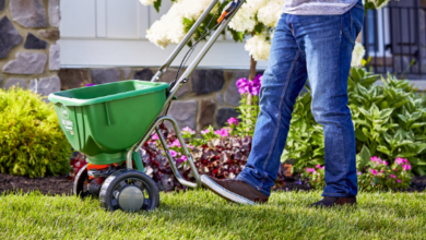 6 Must-Know Spring Lawn Care Tips for Franklin, TN