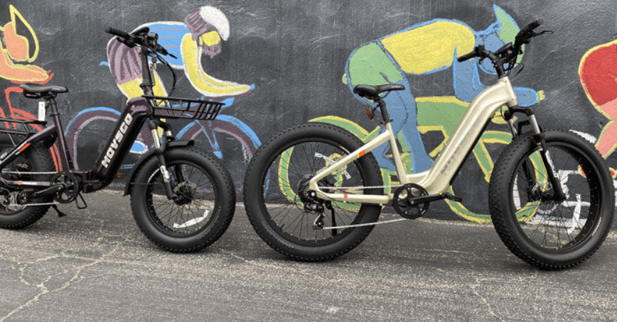 HovAlpha 26 Electric Fat Tire Bike