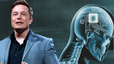 Rajkotupdates.News : Elon Musk in 2022 Neuralink start to Implantation of Brain Chips in Humans