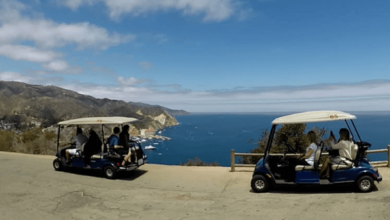 catalina golf cart rental
