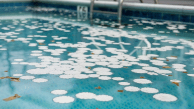How to Remove Mold from Your Swimming Pool