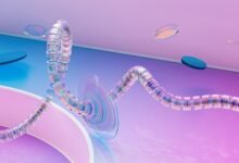 lima network compliance numbers