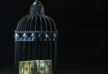 telecom security contact numbers