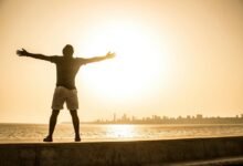 data analysis for opportunities