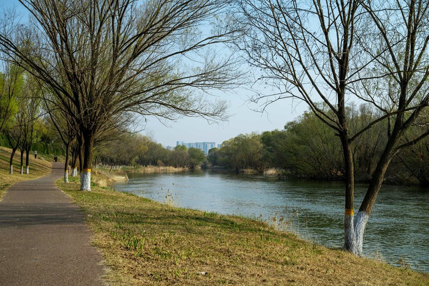 growth dynamics analysis insights