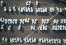 momentum grid data analysis