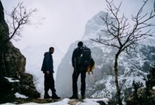 trailblazing horizons across markets