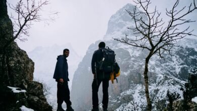 trailblazing horizons across markets