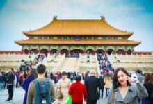 transformative drive across opportunities