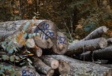 inspect number registry logs