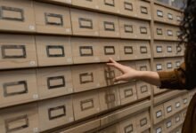 inspect registry search details for ids