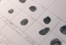inspect specific registry numbers carefully