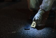 number registry evidence for listed ids