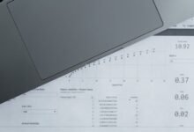 public registry report query identifiers