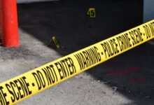 registry entries show investigation status