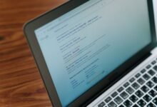 registry lookup results identifiers listed