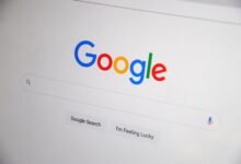 registry search results four identifiers